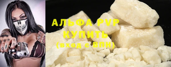 СК Новозыбков
