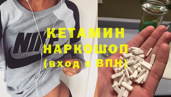 СК Новозыбков