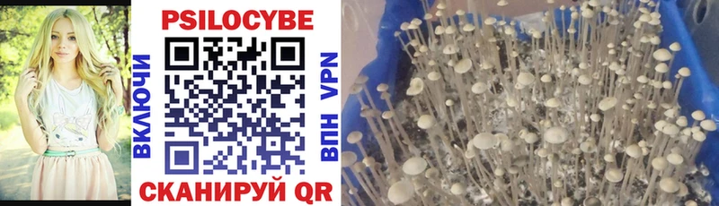 Галлюциногенные грибы Cubensis  Ишим 