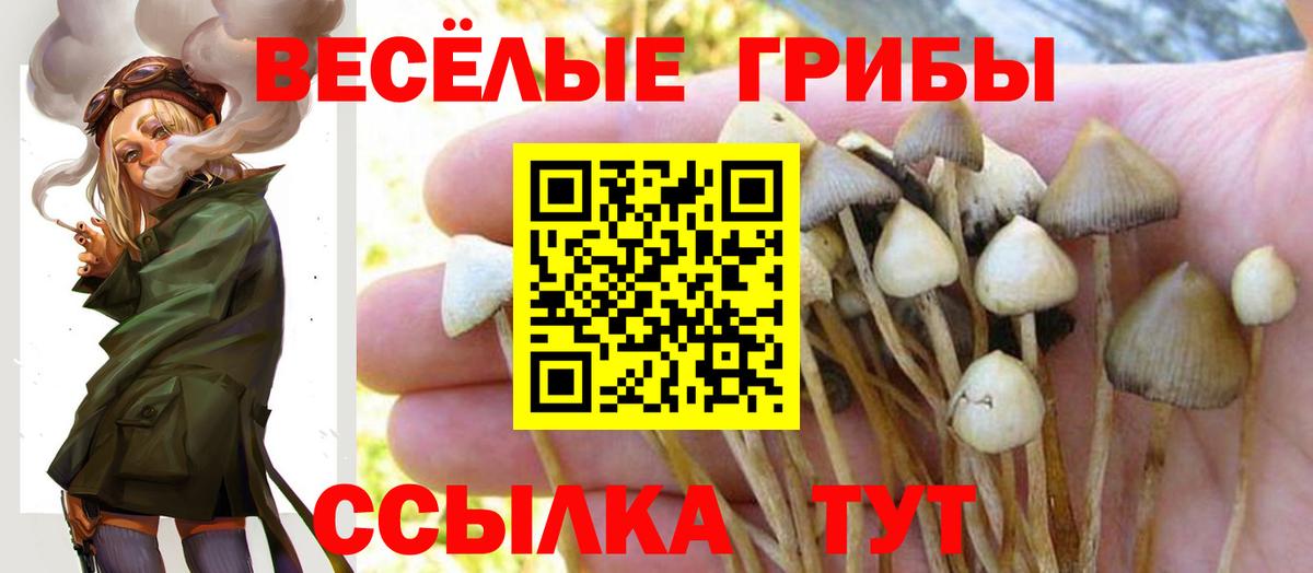 Галлюциногенные грибы Magic Shrooms  наркота  Ишим  Псилоцибиновые грибы MAGIC MUSHROOMS  Вход с VPN 